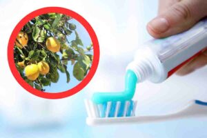 dentifricio e limone per lavatrice